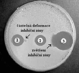 Ke zvětšení inhibiční zóny došlo v důsledku inhibice produkce širokospektré beta-laktamázy inhibitorem - kyselinou klavulanovou.