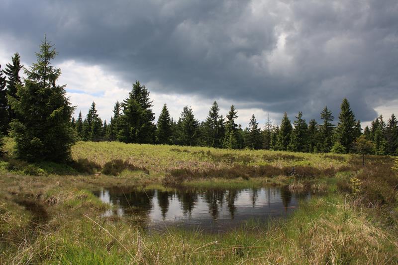 Propozice turistického pochodu Za Fabiánem do Brd (Cestami Jana Čáky) Termín konání: sobota 21. září 2019 Druh akce: Turistický pochod na trasách 6,5 km, 13,5 km, 19,5 km a 23 km.