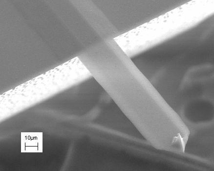 1. RASTROVACÍ SONDOVÁ MIKROSKOPIE Obrázek 1.5: Snímek raménka pro měření AFM, pořízen elektronovým mikroskopem. Vytvořil Kristian Mølhave [10].