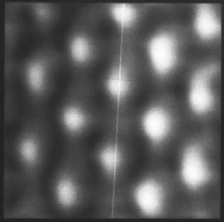 1. RASTROVACÍ SONDOVÁ MIKROSKOPIE (a) (b) Obrázek 1.8: (a) první obrázek pořízený kontaktním AFM s atomárním rozlišením. Vzorkem je krystal KBr(001).
