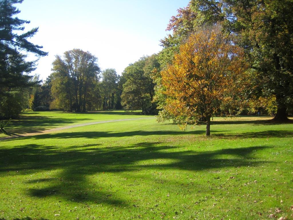 ANGLICKÝ PARK - stromy a keře vysazeny