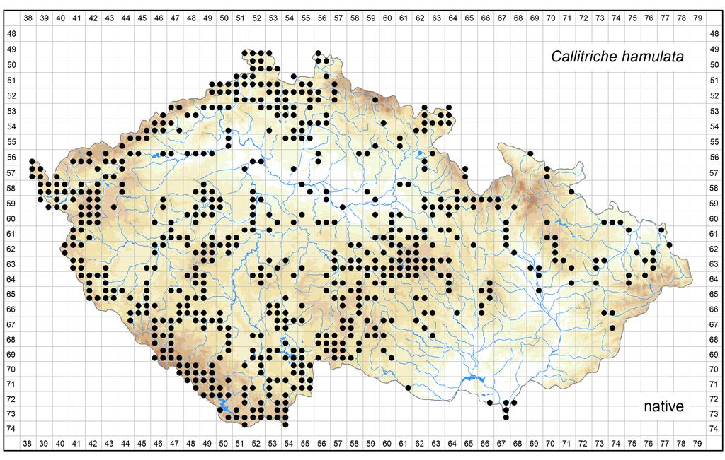 Distribution of Callitriche hamulata in the Czech Republic Author of the map: Jan Prančl Map produced on: 26-10-2018 Database records used for producing the distribution map of Callitriche hamulata