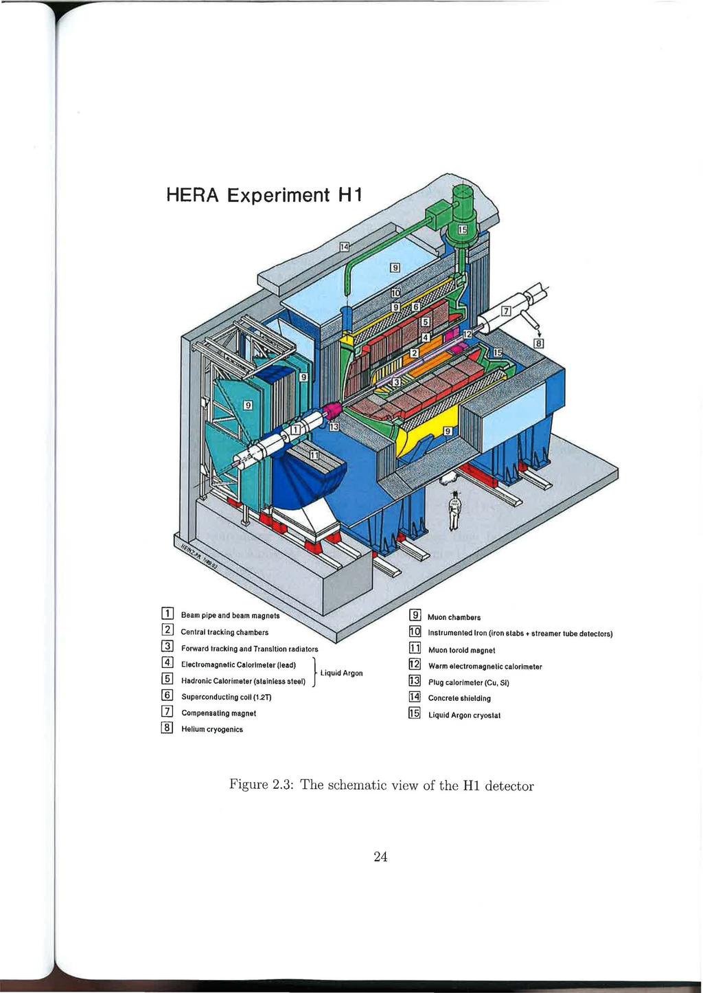 HERA Experiment H 1 Muon chambers Central tracking chambers Forward tracking and Transltion radiators Eleclromagnetlc Calorlmeler (lead) } Hadronlc Calorlmeter (slainless steel) Superconducling coll