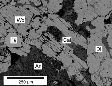 pit, diopsid a ojedinělý hydroxyl-chondrodit.