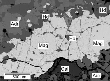 Obr. 7. Magnetit s inkluzemi Zn-spinelidu a hedenbergi tem v andraditovém exoskarnu. (BSE foto J. Haifler). Fig. 7. Magnetite with Zn-spinels inclusions and hedenbergite in andradite exoskarn (BSE photo, J.