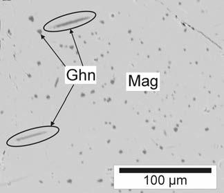 Fig. 8. Isometric and needle-like inclusions of gahnite in magnetite (BSE photo, J. Haifler).