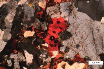 Thin sections of the