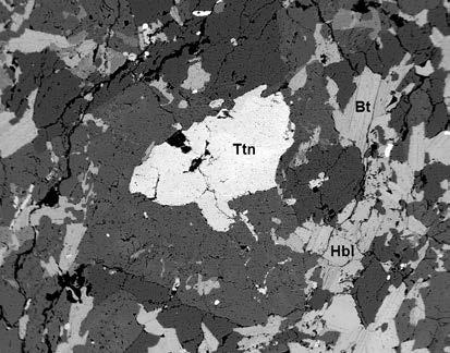 Typický ocellus je v podstatném množství tvořen vždy čtyřmi minerály: kyselým plagioklasem, K-živcem, křemenem a titanitem; ve variabilním množství je přítomen amfibol a biotit.