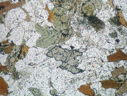 v centrální části řezu napříč těmito útvary) zjištěny drobné nahloučené ostrůvky titanitu ve světlých minerálech, pozorovaná struktura připomíná poikilitickou (obr. 6).