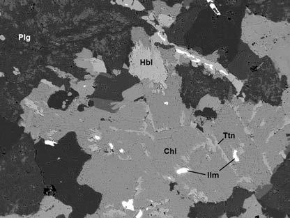 Obr. 7. Zcela chloritizovaný biotit v kře men - ném monzodioritu až granodioritu z lokality Liščí vrch v BSE obrazu. Šíř - ka snímku je 1,3 mm. Foto: P. Gadas. Fig. 7. Backscattered electron image of totally chloritized biotite in quartz monzodiorite to granodiorite from the Liščí vrch locality.