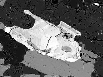 Obr. 9. Zonální allanit-(ce) v křemenném mon zodioritu z lokality Sokolí vrch v BSE obrazu. Šířka snímku je 0,3 mm. Foto: P. Gadas. Fig. 9. Backscattered electron image of zo - ned allanite-(ce) in quartz monzo - diorite from the Sokolí vrch locality.