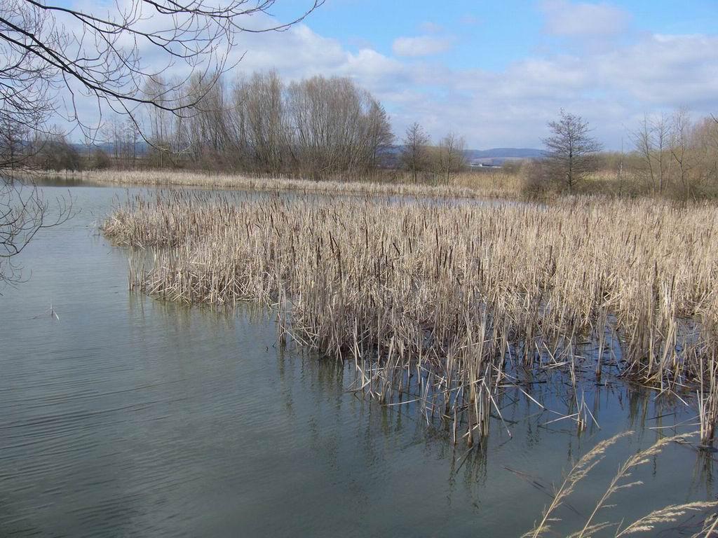 Obrázek 3: Moraviĉanské jezero