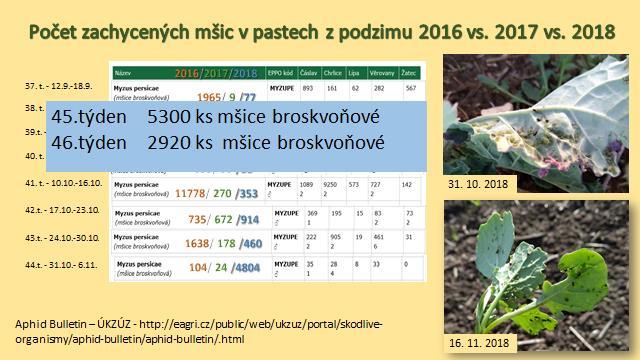 pastí podzim 2016,