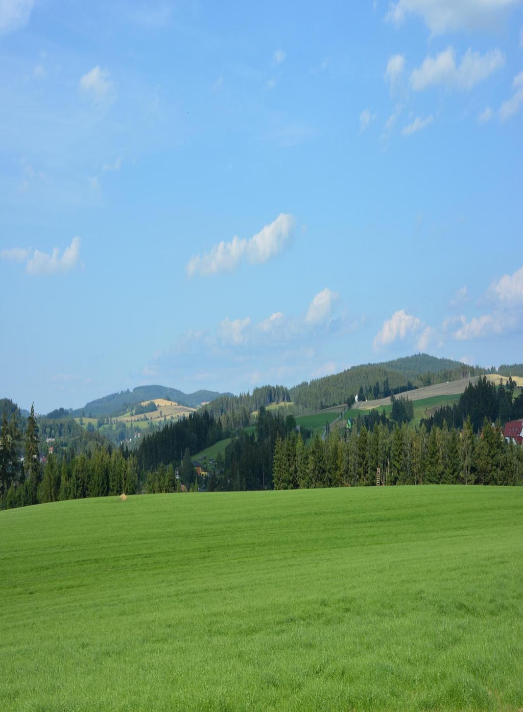 kukuřice slunečnice řepka množení osiv travní směsi KVALITA ZA