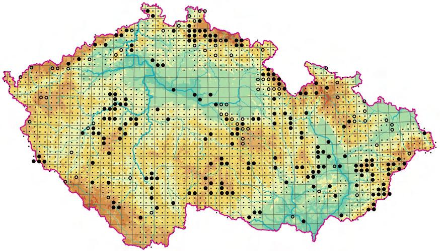 Arrhenatherion elatioris Obr. 78.