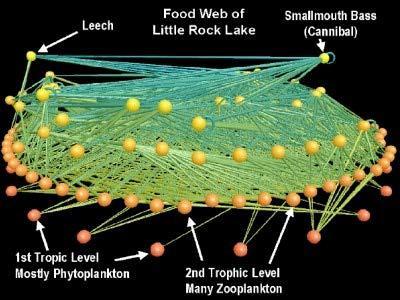 (site - madi7.pdf) Obr. 5-3.