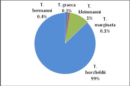 Graf 26: Import želv do ČR (graf vlevo) a globální import (graf vpravo) Za dané období 1992 2011 bylo z České republiky vyvezeno celkem 16 012 exemplářů želv