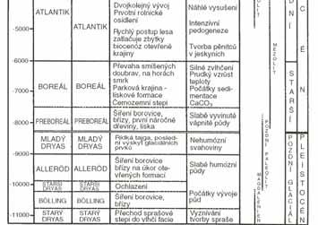 STARŠÍ SUBATLANTIK období maximálního rozšíření jedle, buku a smrku a nově se šířícího habru (Carpinus betulus).