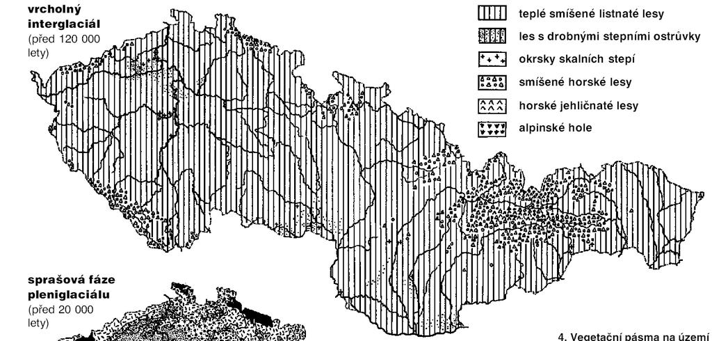 Interglaciál na našem území Ložek (2001) Eemský interglaciál krajina podobná té