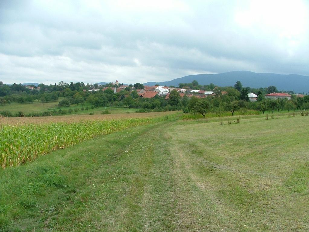 CO JE KOMPLEXNÍ POZEMKOVÁ ÚPRAVA provádí se ve veřejném zájmu (zákon 139/2002 Sb.) dotčené pozemky se nově uspořádávají scelují, dělí, otáčejí, vyrovnávají atd.