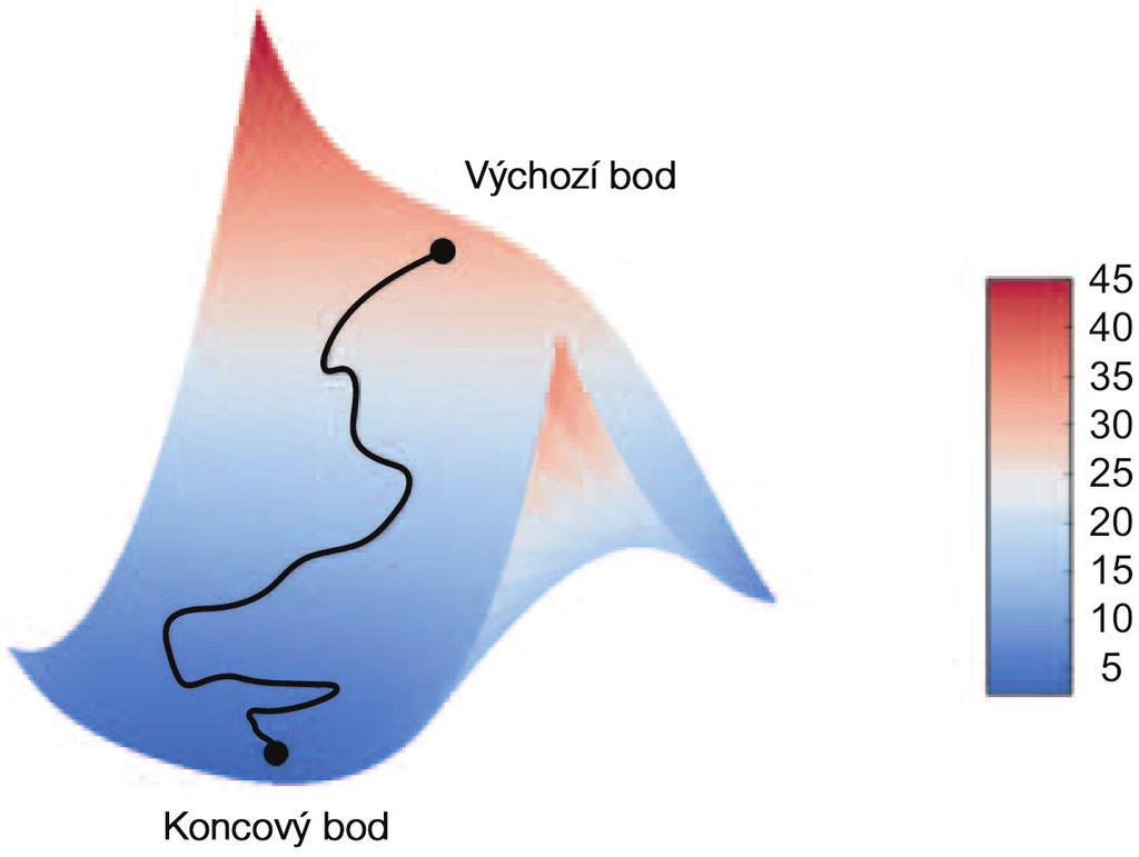 Deep learning v jazyku Python Barevné obrázky 2 Obrázek 2.