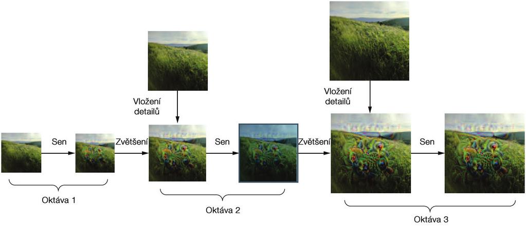 Deep learning v jazyku Python Barevné obrázky 9 Obrázek