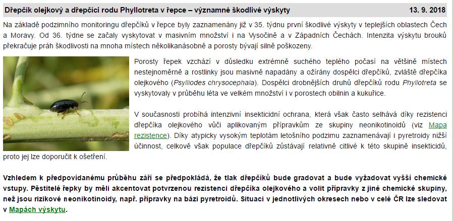 Řepka další původci poškození Díky suchému létu = nízký tlak hlízenky (naposledy rok 2016) Tradiční napadení bejlomorkou kapustovou (těžké určit práh škodlivosti + metodiku