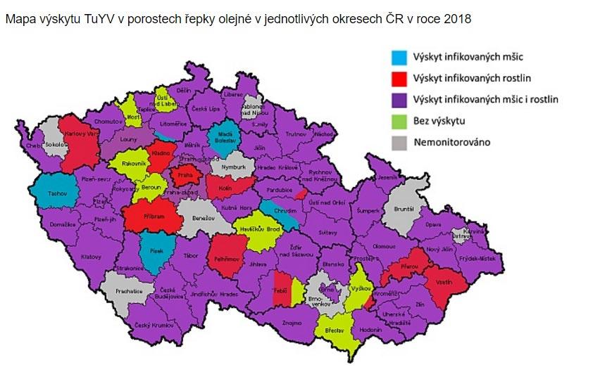 před setím řepky Minoritní škůdci mšice broskvoňová