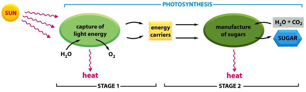 Energie