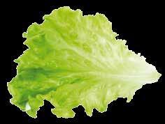 g ( = 14,74