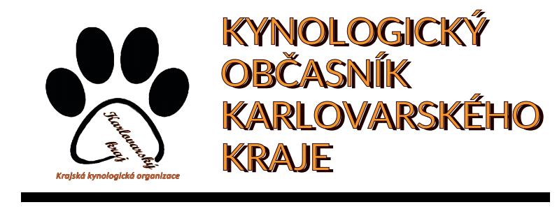 1/2019 Soupisky, potvrzení o vykonané zkoušce a zpráva rozhodčího jsou k dispozici pouze v elektronické podobě.