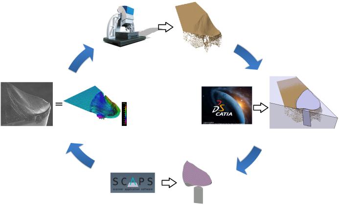 Tuto funkci lze provázat se zmíněním softwarovým vybavením (CAD software, 3D modul v LASERu) do tzv. cyklu procesů úpravy břitu. Smyslem použití níže zmíněného návrhu řešení viz. obr.