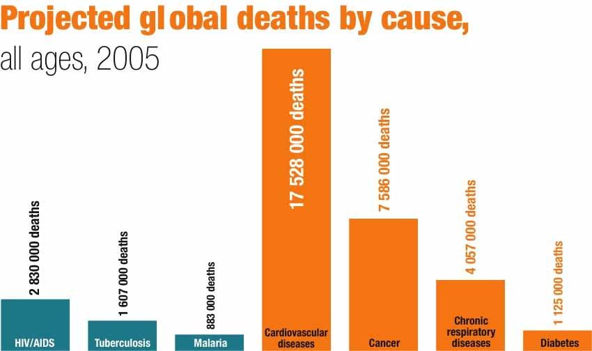 WHO Report Preventing chronic