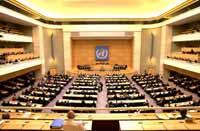 60.zasedání Světového zdravotnického shromáždění (Květen 2007) WHA vyzvalo státy: K naplňování a větší podpoře stávajícím celosvětovým