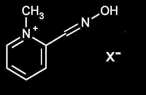 Název Označení Chemická struktura Chemický název N-methyljodid Trimedoxim TMB-4 Obidoxim Pralidoxim 2-PAM 2-pyridiniumaldoxim- bis-4/- pyridiniumaldoxim-nmethyl/eter dichlorid Metoxim MMB-4 N,N -