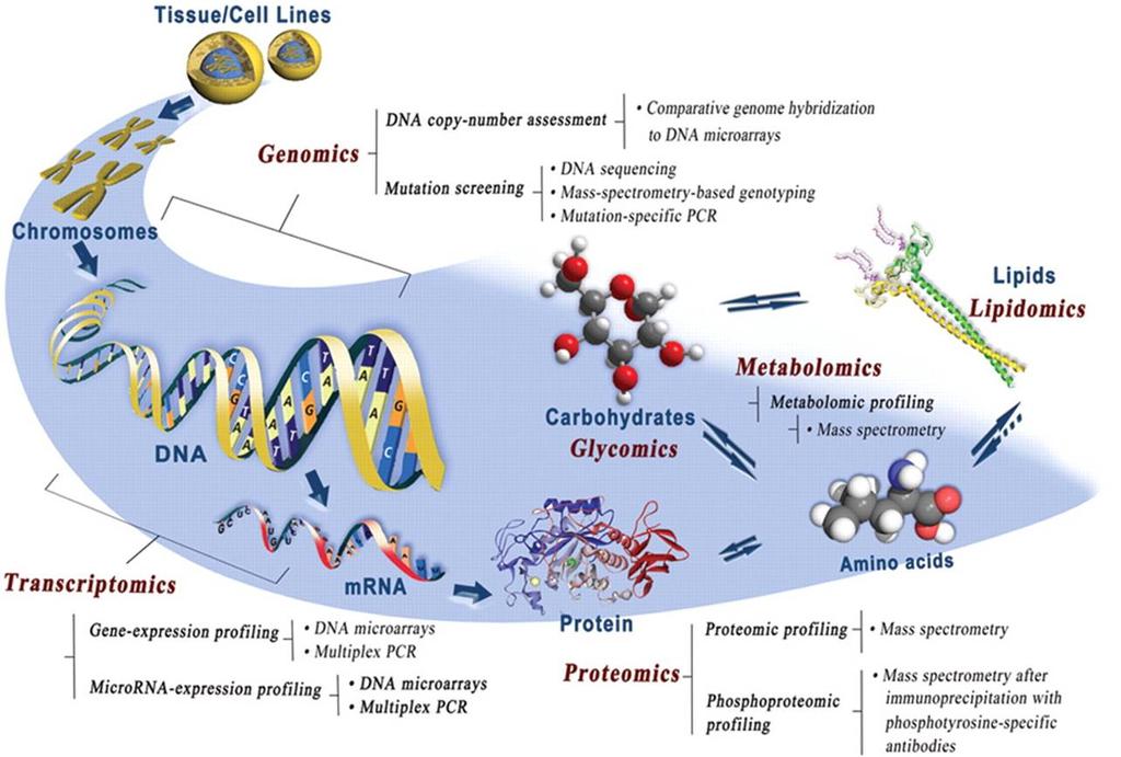 Metabolomika