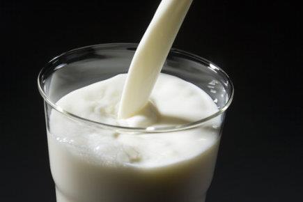 Sekrece mléka Buňky sekrečního epitelu produkce všech složek mléka Typy sekrece - ekrinní - apokrinní - holokrinní - Po naplnění mléčných alveol probíhá vyměšování