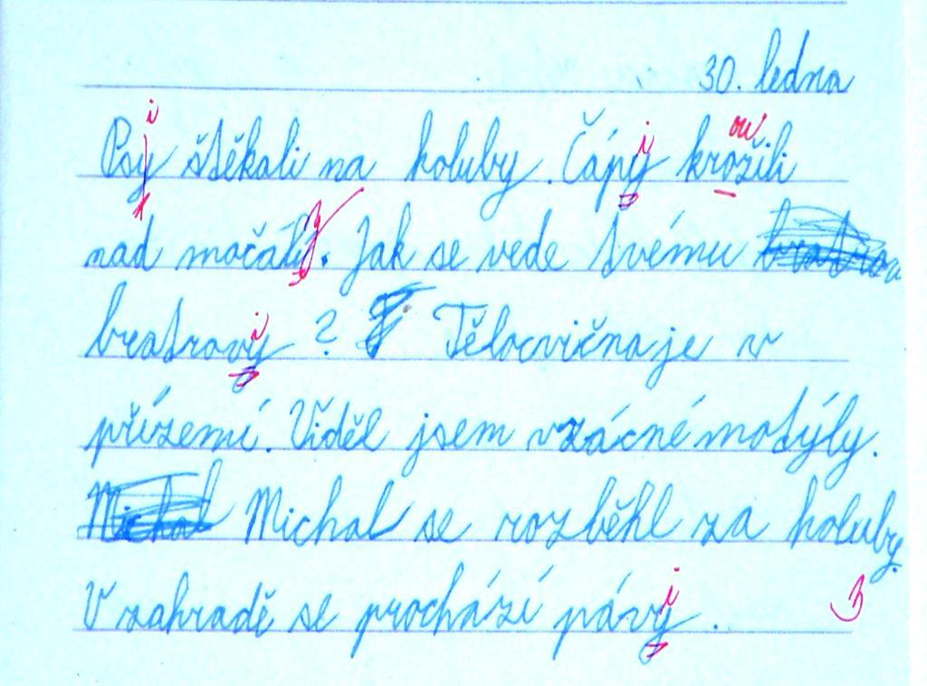 Cvičení zaměřené na pravopis koncovek podstatných jmen (leden 2012) Cvičení bylo zaměřené na probrané a zopakované učivo 4. ročníku (obrázek č. 2).