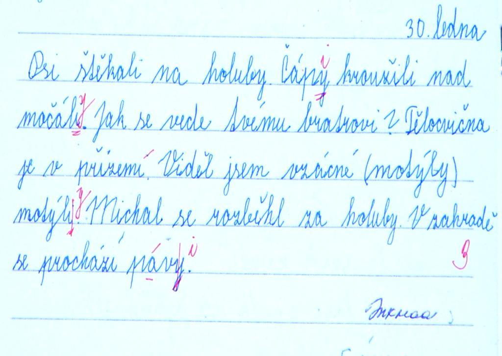 Cvičení zaměřené na pravopis koncovek podstatných jmen (leden 2012) Také dívka ve cvičení zaměřeném na pravopis koncovek podstatných jmen rodu mužského chybovala (obrázek č. 5).