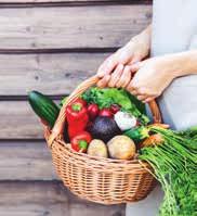 /1 DEN SPECIÁL 45 bio & fresh receptů JEDINEČNÁ