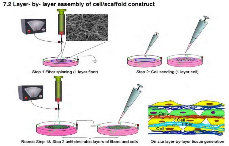 Wet electrospinning tkáňové inženýrství Yang, X., Wang, H.