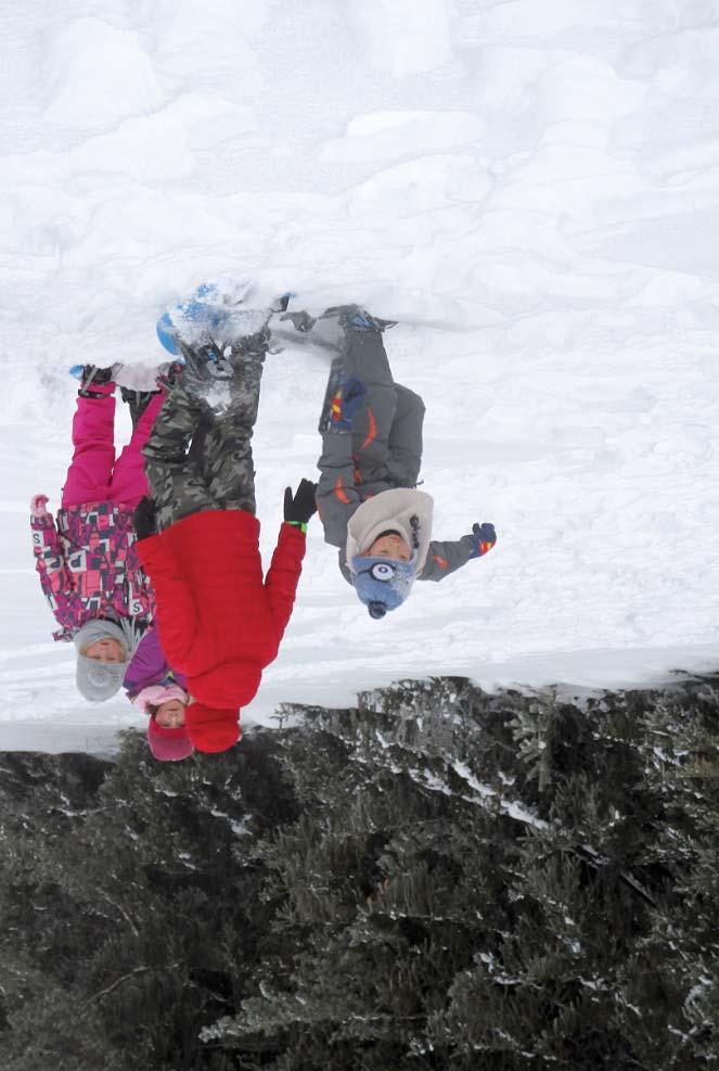 Národní park Šumava je tou nejlepší učebnou pod širým nebem Jelení stezkou V další venkovní procházce na sněžnicích ze Stožce podél Studené Vltavy zjistíme, jak můžeme stopovat jelena nebo jak