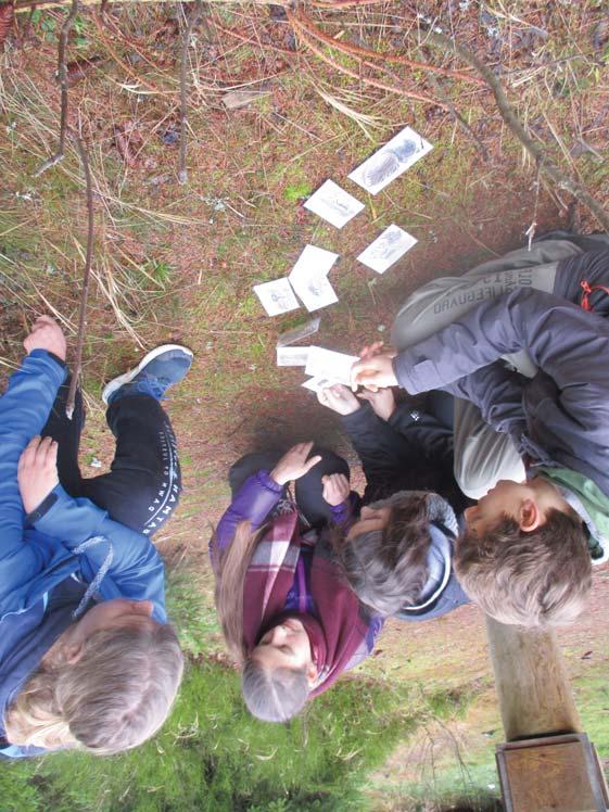 SEV NP Šumava Environmentální výchova v Národním parku a chráněné krajinné oblasti Šumava Správa Národního parku Šumava Středisko environmentální výchovy Stožec Stožec 1, 384 44 Stožec tel.