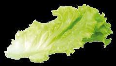 Kč) Šunka