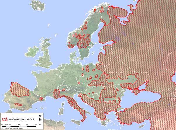 2b. úkol: Zjisti, kde všude se vlk obecný vyskytuje Zdroj: IUCN (2010) ZADÁNÍ: Na mapce Evropy je červeně znázorněn výskyt vlka obecného.