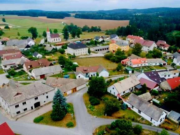 Keře i stromy jsou v dost neutěšeném stavu, a tak jsme si vzaly za úkol dodat během prázdnin bujné vegetaci v zahradě tvar a formu, kterou bude možné do budoucna snáze udržet.