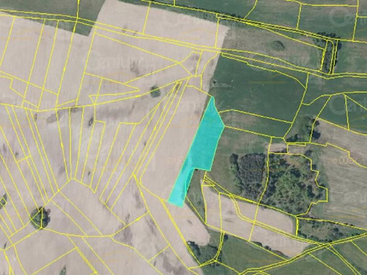 Předmětem prodeje jsou dva pozemky trvalý travní porost o celkové výměře 5 479 m2 ve vlastnictví jednoho majitele. Pozemky jsou v současné době obhospodařovány a přihlášeny v LPIS.