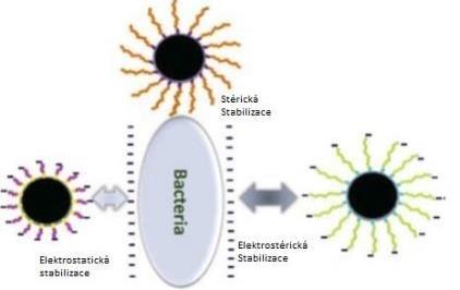 3.4 Potencionální rizika a vliv nzvi na prostředí Nanomateriály mají vzhledem ke svému velkému specifickému povrchu jiné vlastnosti než jejich chemické makroskopické ekvivalenty, proto je třeba k nim