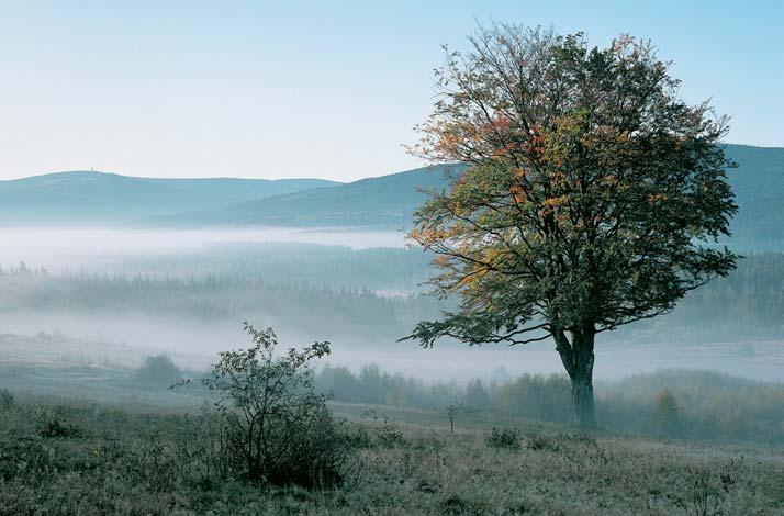 PlzeÀsko a Karlovarsko Inverze na Prá ilsku pod Vysok m hfibetem. mûru aï 500, v extrémních rocích aï 2000 mm za rok.