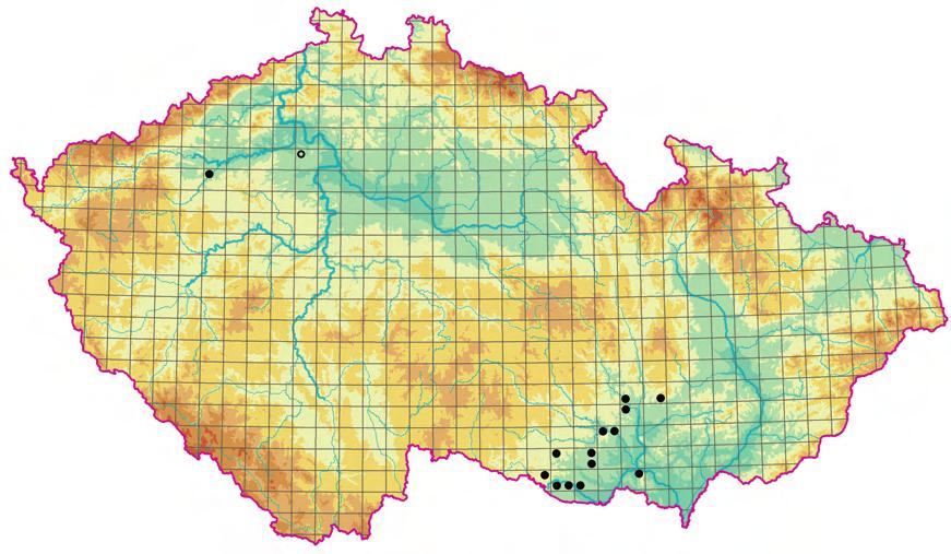 Koelerio-Phleion phleoidis Obr. 250. Rozšíření asociace THG02 Avenulo pratensis-festucetum valesiacae. Fig. 250. Distribution of the association THG02 Avenulo pratensis-festucetum valesiacae.